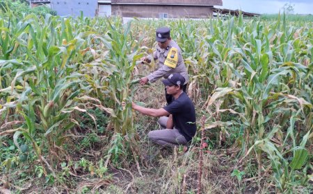 Polres Malang Gencarkan Pemanfaatan Pekarangan dan Potensi Desa untuk Dukung Ketahanan Pangan